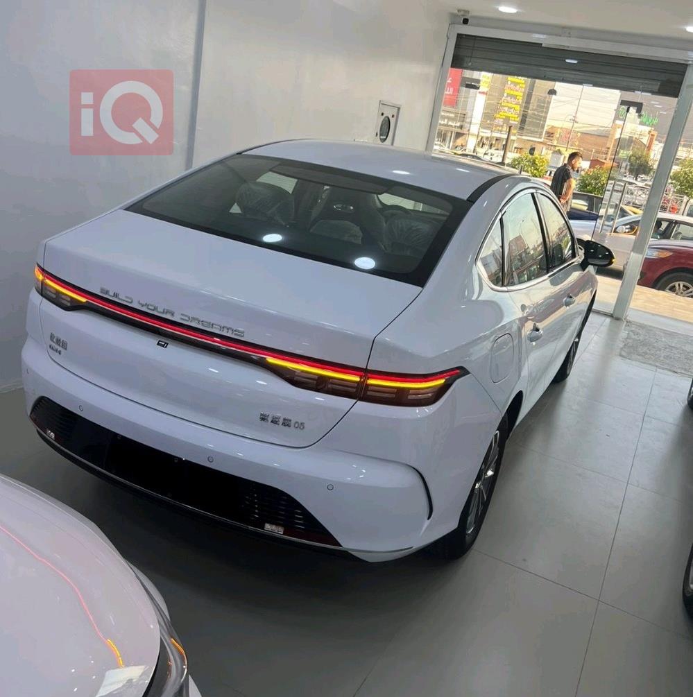 بی وای دی دیسترۆیەر 05